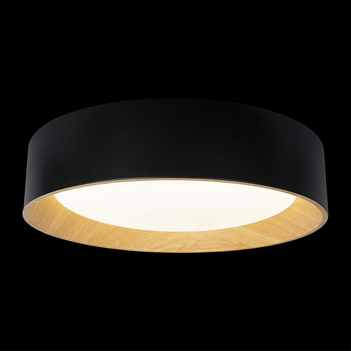 Светильник LOFT IT 10202 Black